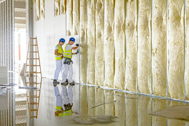 Best Residential Insulation in Aurora, MO
